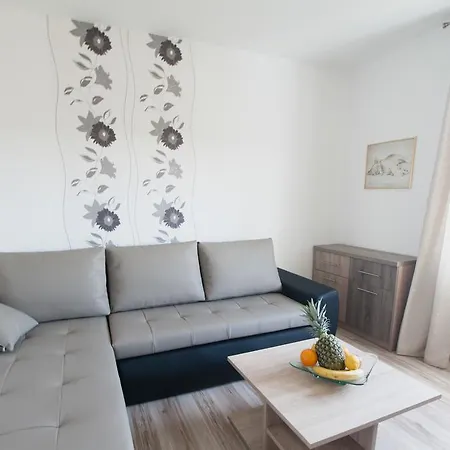 Apartment Toka *